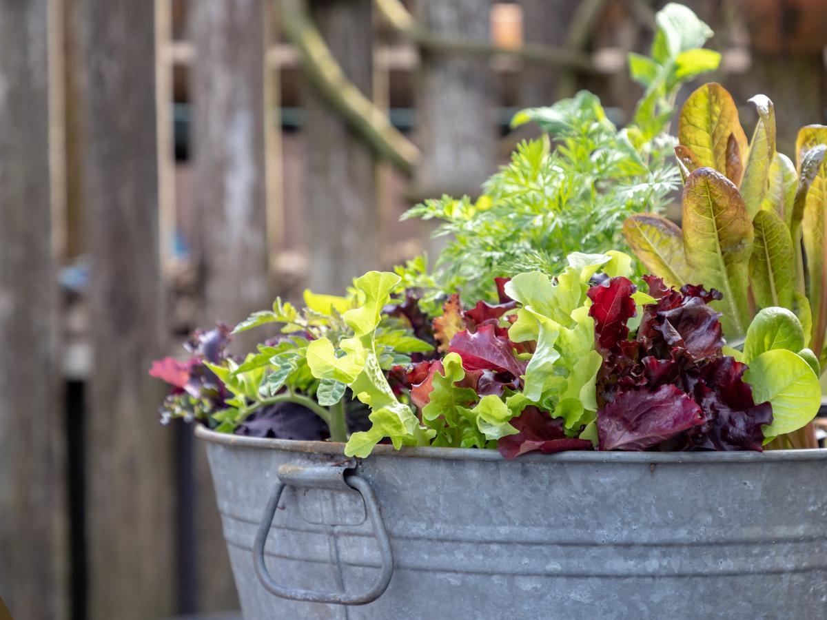 cheap planter ideas 19