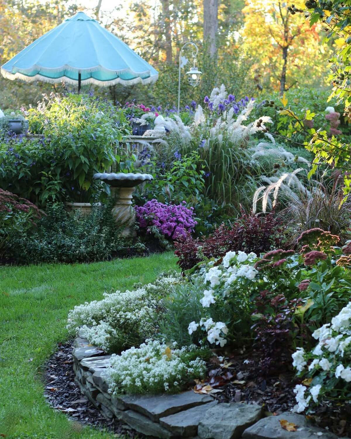 colorful flower gardens 5