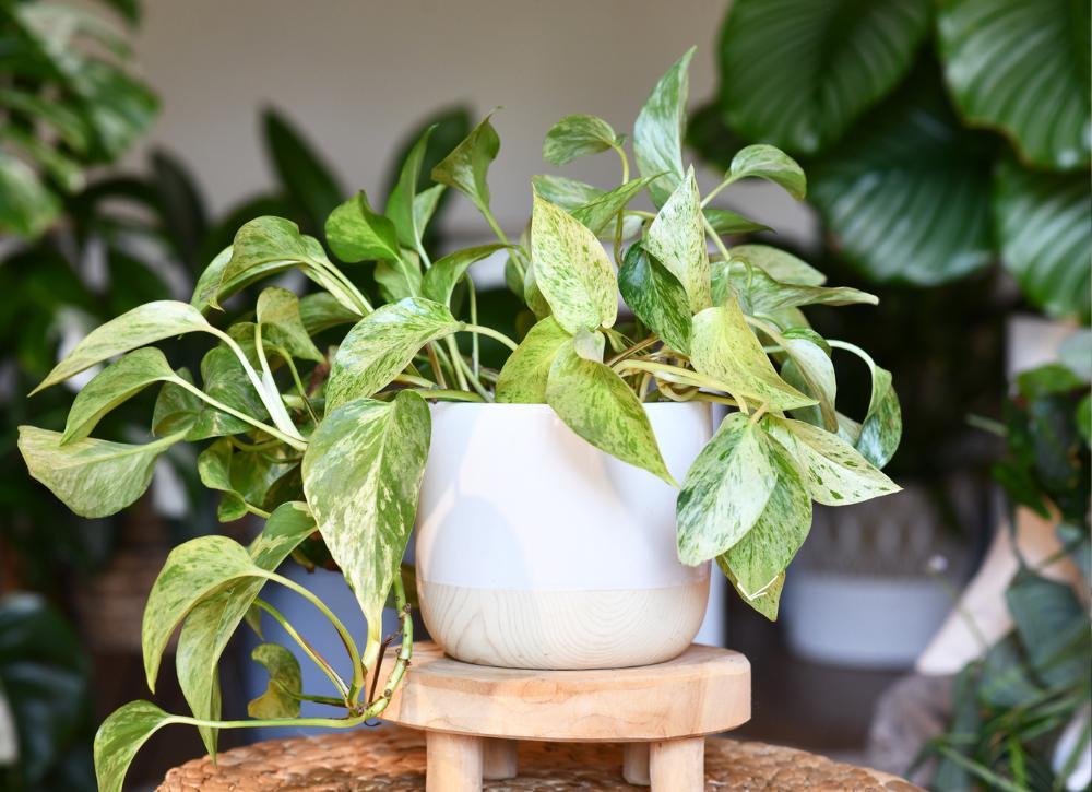 diy home decor ideas 13