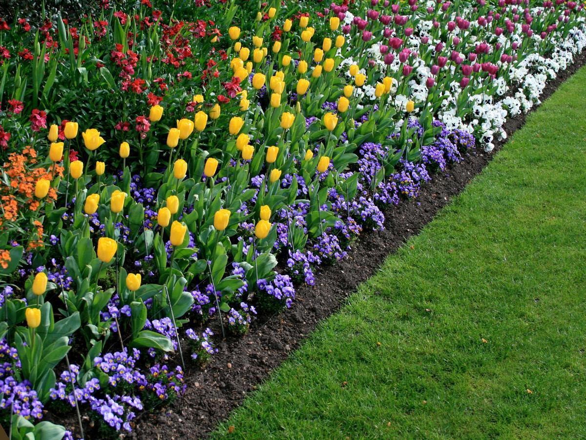 front yard updates that look expensive 20