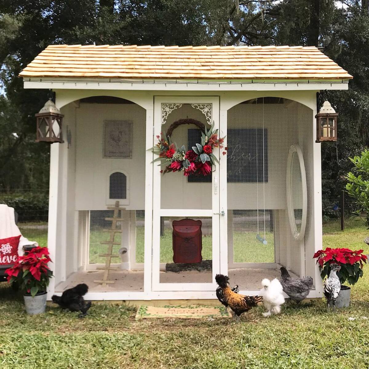 simple and efficient chicken coop designs 7